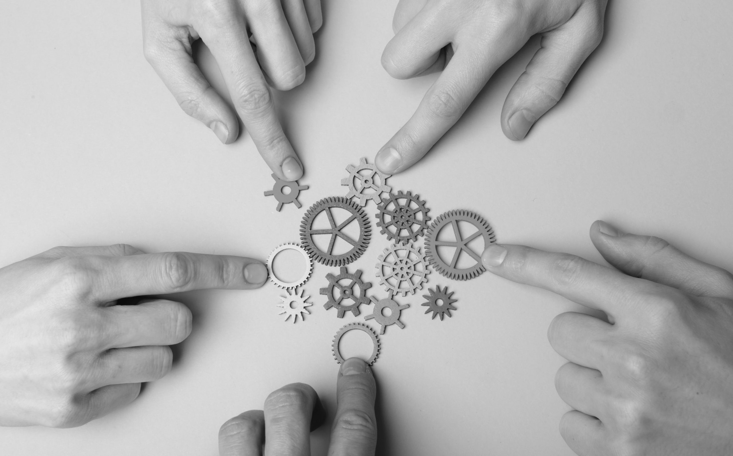 pomysł na sklep internetowy