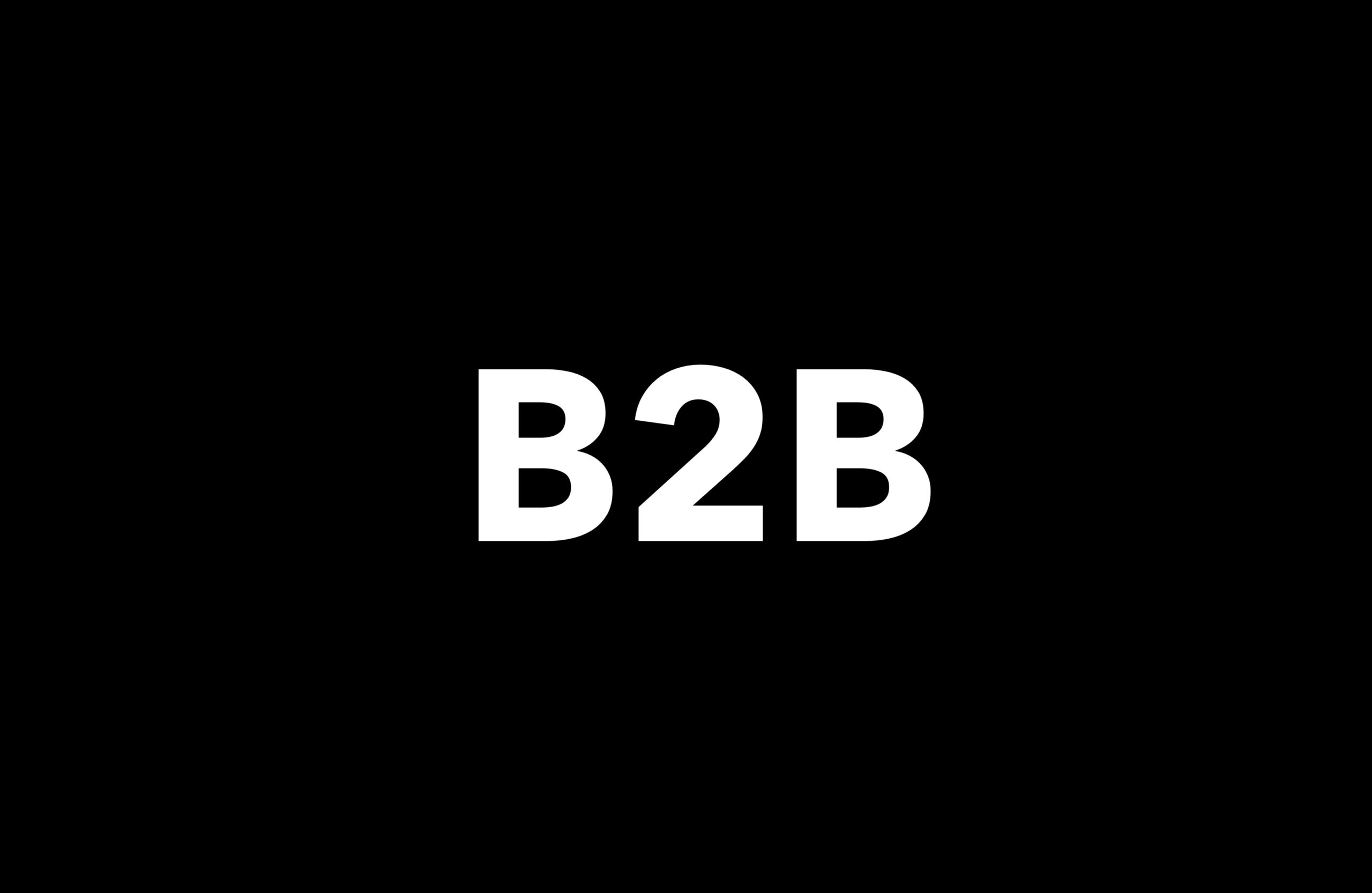Shopify B2B